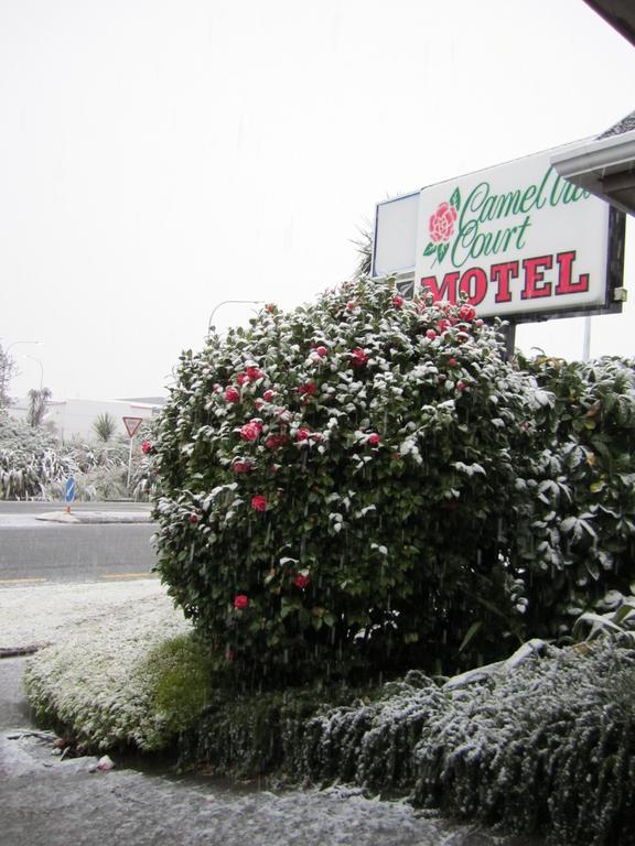 Camellia Court Motel Lower Hutt Dış mekan fotoğraf